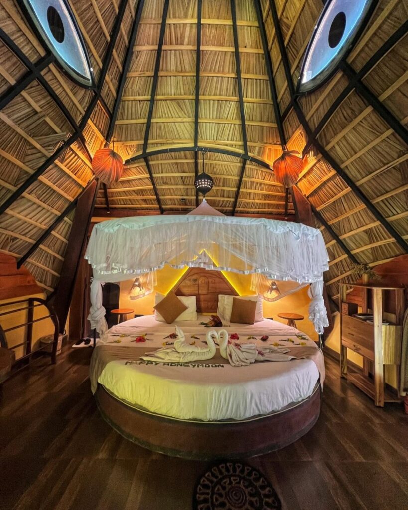 470219956 18061428517856793 58728281281482194 n