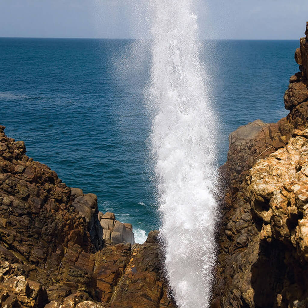 blowhole